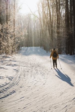 A person is skiing down a beautiful, snowy path that winds through a tranquil and picturesque wooded...