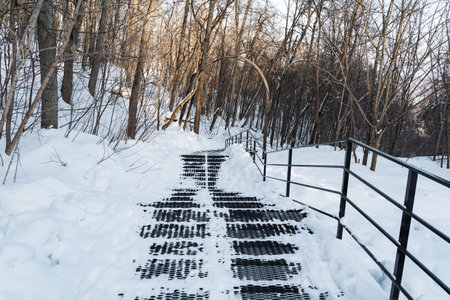 A snowy path, blanketed in white snow, features stairs ascending to a beautiful forest, perfect for...
