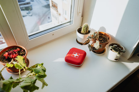 Colorful potted plants on a sunny windowsill, artfully arranged, create a warm and inviting...