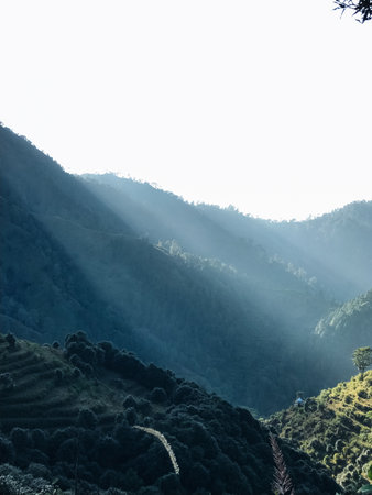 The bright sun shines through the tall trees that elegantly line the majestic mountains, creating a beautifully picturesque natural scene that captivates and enchants the soul in every way possibleの写真素材