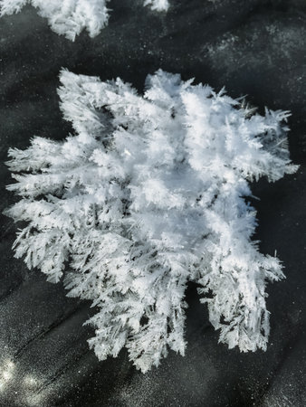 A detailed closeup image of a pristine snowflake resting delicately on a dark, black surface,...