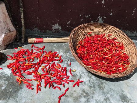 A beautiful wicker basket is filled to the brim with fresh, vibrant red peppers and is positioned closely beside a substantial pile of more red peppers, showcasing their bountiful quality and colorの写真素材