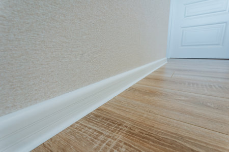 As you make your way into the hallway, the shiny polished wooden flooring coupled with the pristine white walls creates a bright and inviting atmosphere for everyone who walks through the entranceの写真素材