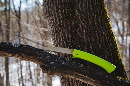 A vibrant green saw is currently resting on a sturdy tree branch, proudly showcasing its sharp...