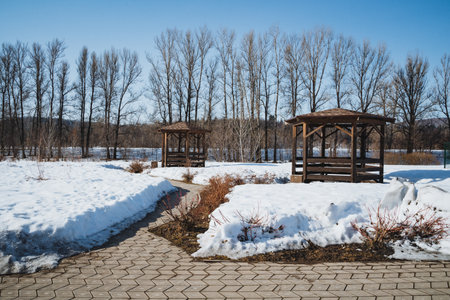 In the center of a serene snowy field stands a charming gazebo, surrounded by tall trees in the background, creating a picturesque winter landscape filled with beauty and tranquilityの写真素材