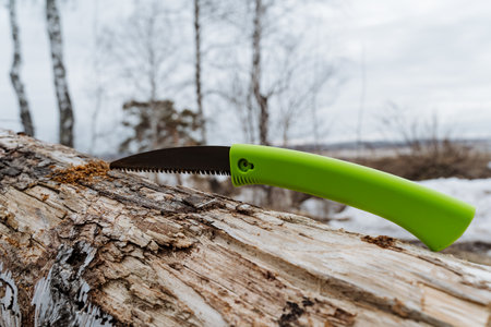 A vibrant green saw is prominently placed on a sturdy log, beautifully showcasing its sharp blade and durable design, making it ideal for various cutting tasks in the workshop as well as outdoorsの写真素材