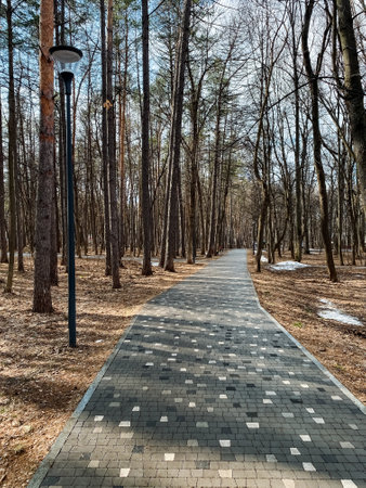 Envision a serene walkway lined with vibrant trees, embodying nature in early spring. Its perfect...