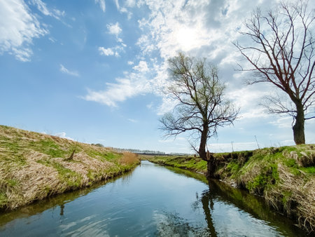 Imagine a river flowing gracefully, bordered by vibrant trees. This enchanting setting creates a serene landscape, full of greenery and life, where water beauty meets environmental tranquilityの写真素材