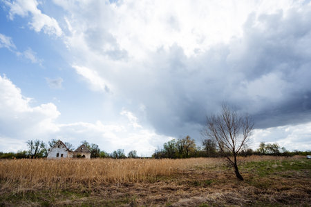 An abandoned house quietly rests in a beautiful golden field under a dramatic, cloudfilled sky, capturing a poignant and reflective moment of tranquility in this picturesque rural sceneの写真素材