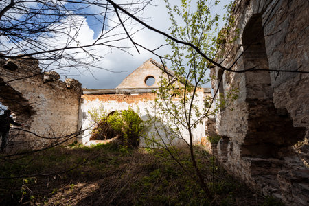 An abandoned building, once grand, is being reclaimed by nature as crumbling walls decay and overgrown vegetation envelops it, set against swirling clouds that contrast its past majestyの写真素材