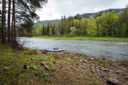 A serene riverside scene with lush trees, calm waters, and vibrant wildlife, perfect for nature lovers and outdoor activities, inviting relaxation and exploration in the great outdoorsの写真素材