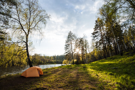A serene lakeside scene features a bright orange camping tent nestled among lush greenery, illuminated by soft sunlight filtering through tall trees, perfect for camping enthusiasts to unwindの写真素材
