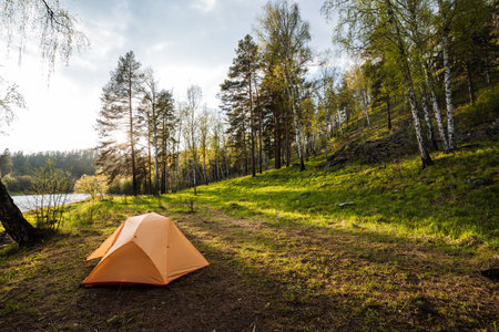 Imagine a picturesque campsite with a vibrant orange tent by a tranquil lake, surrounded by lush greenery and tall trees, all under a clear blue sky, showcasing natures true beautyの写真素材