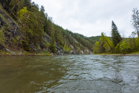 A peaceful, serene river gracefully winds its way through a vibrant green forest landscape under a beautiful, cloudy sky, perfectly capturing the breathtaking beauty and deep serenity found in natureの写真素材