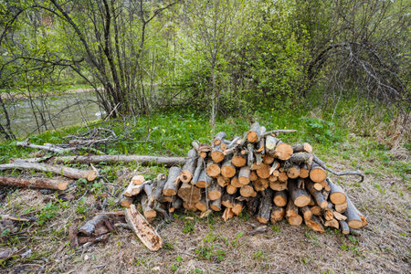A neatly stacked pile of firewood sits beside a serene stream, framed by vibrant greenery, highlighting natures beauty and preparation for enjoyable outdoor activities in this picturesque settingの写真素材