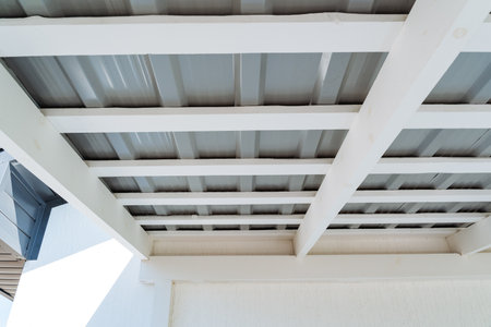 I stand admiring the beautifully designed ceiling of a remarkable building with a strong, elegant...