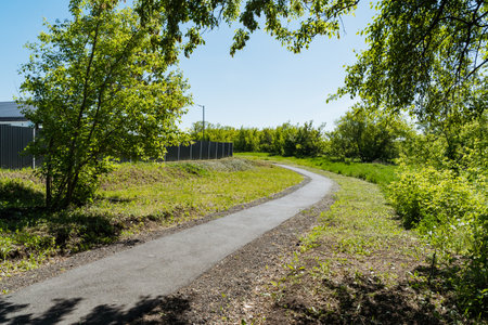 A winding road elegantly runs through a beautiful grassy field, with tall trees lining both sides, creating a picturesque and serene setting for travelers along this peaceful pathの写真素材