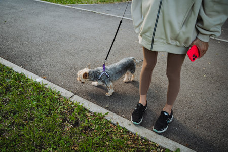 A woman is taking a delightful and peaceful stroll in the park with her little dog on a leash both...