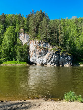 In the center of a flowing river, there is a large rock that is prominently situated, surrounded by a lush forest of trees that line the banks, creating a picturesque scene in natureの写真素材