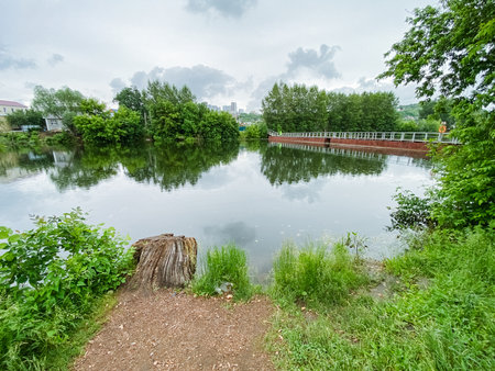 A beautiful and serene lakeside view, adorned with lush greenery and surrounded by tranquil waters, offers the perfect escape into natures calm embrace, creating an idyllic atmosphere for relaxationの写真素材