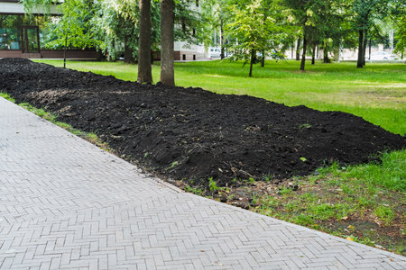 An attractive pile of dark black mulch along a wellmaintained sidewalk in a park enhances the landscapes aesthetics, providing a visual contrast to the surrounding lush greeneryの写真素材