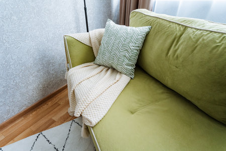 In a spacious living room, theres a striking green couch adorned with a cozy pillow and a soft blanket draped elegantly over it, creating a welcoming and comfortable atmosphere for relaxationの写真素材