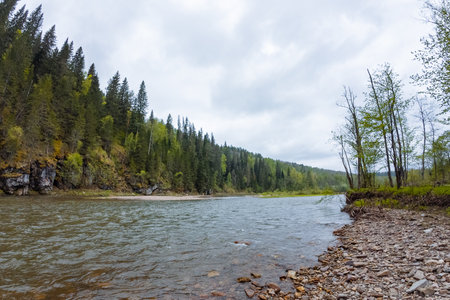 A serene river flows through a vibrant landscape with tall trees and rocky banks under a cloudy sky, ideal for nature lovers and adventure seekers looking for a rejuvenating outdoor escapeの写真素材