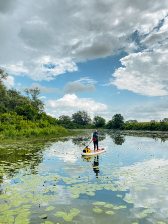 A person stands confidently and proudly on a paddleboard floating in the serene waters of a tranquil lake, surrounded by lush nature, joyfully enjoying the calm waters and peaceful atmosphereの写真素材