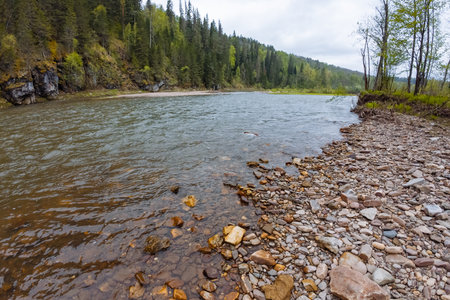 A tranquil riverbank scene showcasing clear waters gently flowing between rocky shores, framed...