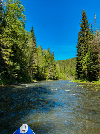 A picturesque river winding its way through a lush forest, surrounded by vibrant green trees, all under the warm, bright sun of a beautiful summer day, creating a serene and tranquil nature sceneの写真素材
