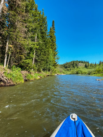 A person in a bright life jacket skillfully paddles a blue kayak along a winding river, surrounded by lush greenery, fully immersed in the delightful experience of kayaking in natureの写真素材
