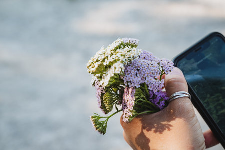 A person is holding a beautiful and vibrant bouquet of freshly cut flowers in one hand while also gripping a cell phone in the other. The flowers are colorful and diverse, adding charm to the sceneの写真素材