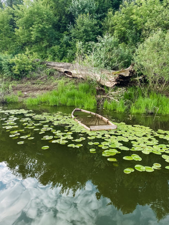 A tranquil view of an abandoned boat on a calm water body, surrounded by lush greenery and blooming lily pads, capturing the essence of natures beautyの写真素材