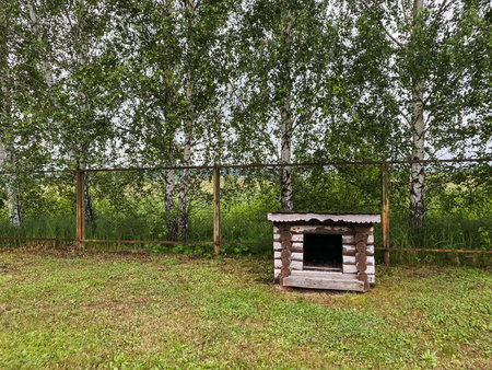 In a vibrant grassy field under the warm sun, a wooden dog house stands out prominently, blending natures serene beauty with craftsmanship, captivating all who pass byの写真素材