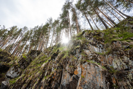 The setting sun shines through the tall trees on the rocky hillside, casting beautiful shadows on the ground below, creating a serene and picturesque scene that attracts many visitors each yearの写真素材