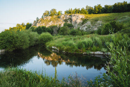 In a serene and picturesque forest, a calm and tranquil pond rests peacefully, surrounded by tall trees and vibrant green grass, greatly enhancing its natural beauty and tranquil atmosphereの写真素材