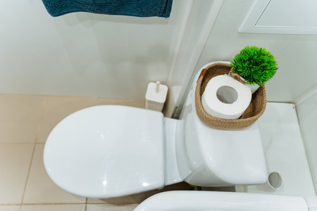 This modern luxury bathroom features a white toilet, neatly arranged toilet paper, and a vibrant...