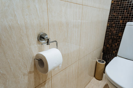 This bathroom corner showcases a polished toilet paper holder and modern toilet, merging...