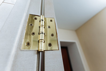 This image shows a detailed view of a brass hinge fixed onto a modern interior door, highlighting...