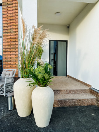 A contemporary entrance featuring elegant planters with lush greenery, creating a welcoming atmosphere. Ideal for showcasing modern architecture and landscaping ideasの写真素材