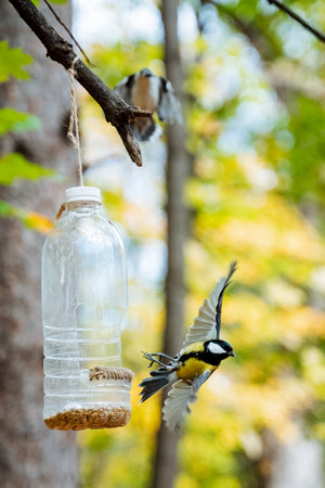 In a vibrant woodland, a charming bird visits a homemade feeder, showcasing wildlifes splendor on a sunny day, capturing the essence of outdoor life and its joy for nature loversの写真素材