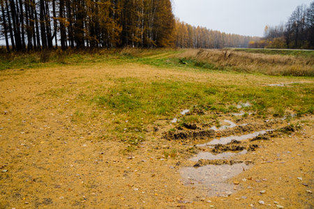 In an autumn scene with grass and water, this setting is perfect for nature projects and outdoor adventures, inviting eager explorers to immerse in its tranquilityの写真素材