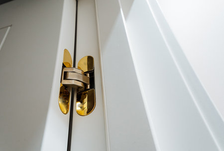 A highly detailed view of an elegant golden door hinged that is securely affixed to stylish white interior doors, showing the perfect blend of modern design and functionality in home decorの写真素材