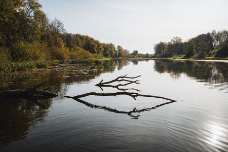 A tranquil river scene embodies autumn with vibrant foliage and serene reflections on calm waters. Driftwood contrasts with the tranquility, inviting exploration of natures peaceful charmの写真素材