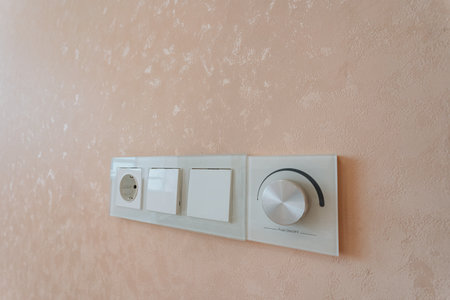 dimmer switch with outlet, textured pastel wallmounted lighting control including dimmer and outletの写真素材