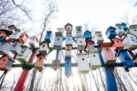 artisancrafted weathered wooden nesting, close examination of aged handcrafted nesting enclosures