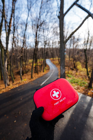 Portable medical supplies displayed clearly, Compact first aid set depicted on scenic woodland...