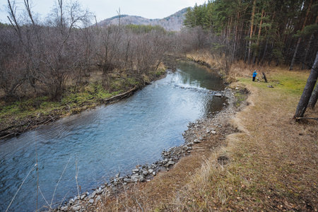 Calm river pause, Serene stop at tranquil pine wooded river, Quiet pause near peaceful river...