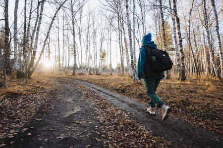 Forest walk dawn, Serene hike through dawnlit birch woods, Tranquil journey along sunlit woodland trail during morning hours, Peaceful exploration through sunkissed birch forest at earlyの写真素材
