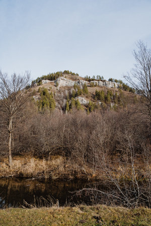 Towering cliff with sparse conifers and scrub at base, vertical composition emphasizing rock strata and bare branches, pale sky and quiet stillness evoking geological scale and solitudeの写真素材